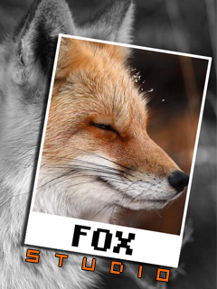 FOX PUZZLE скриншот №1